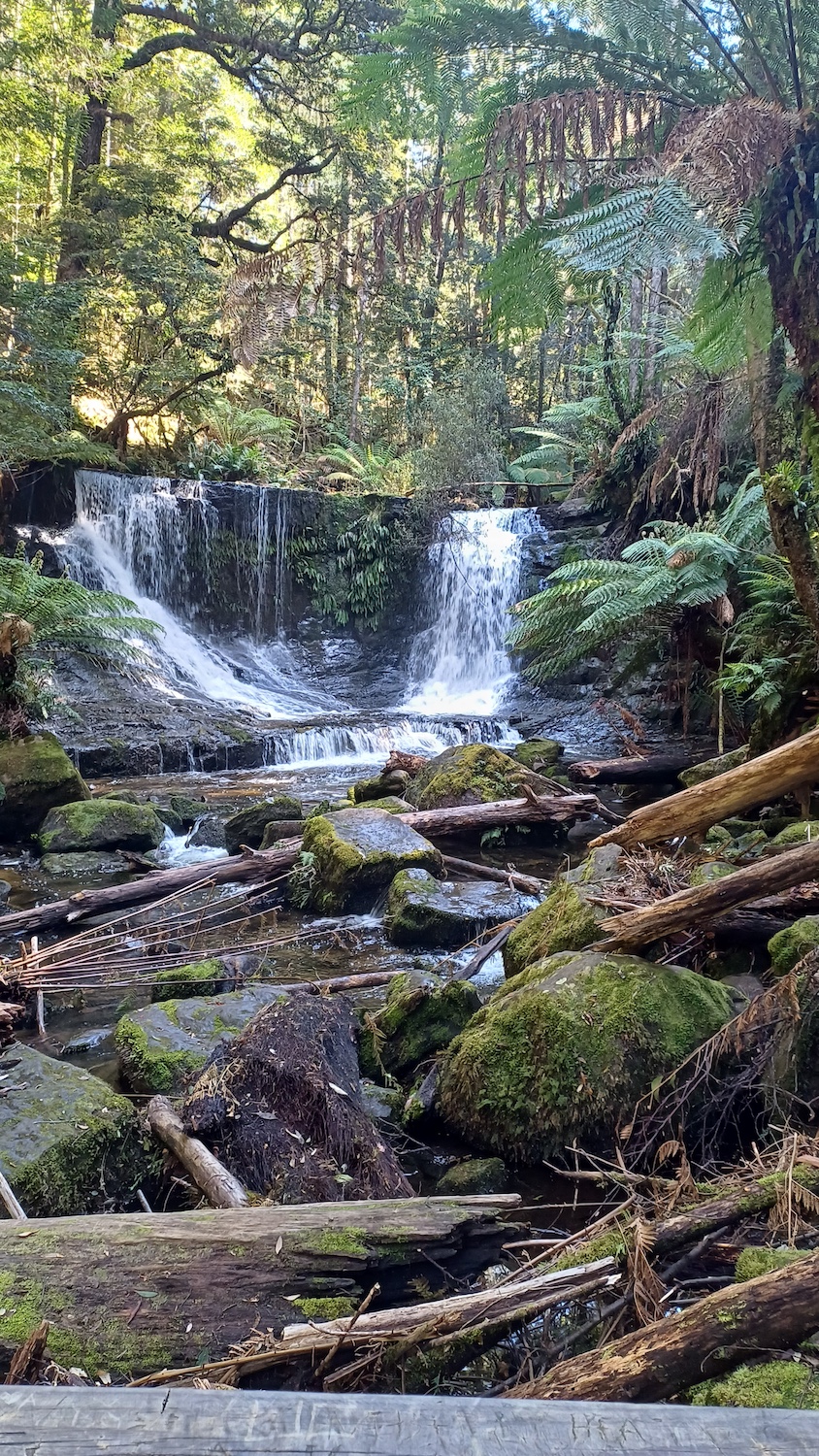 BeautyenBeweging flow