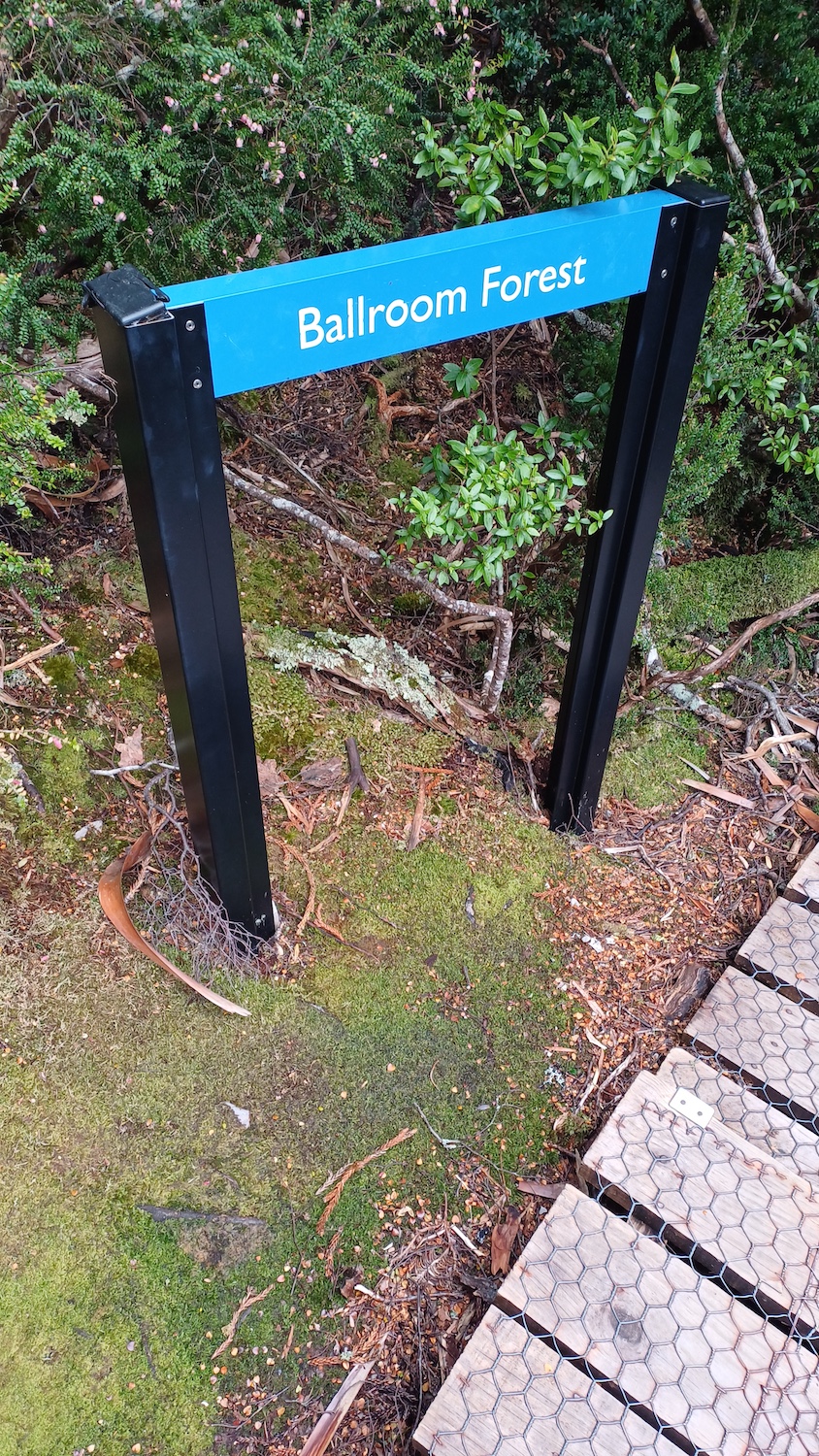 BeautyenBeweging Ballroom Forest